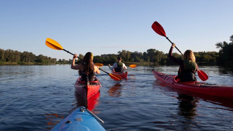 Sortie kayak